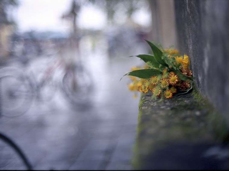 Ноябрь макро город