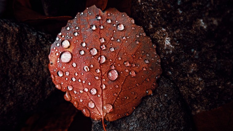 Макросъёмка минералов