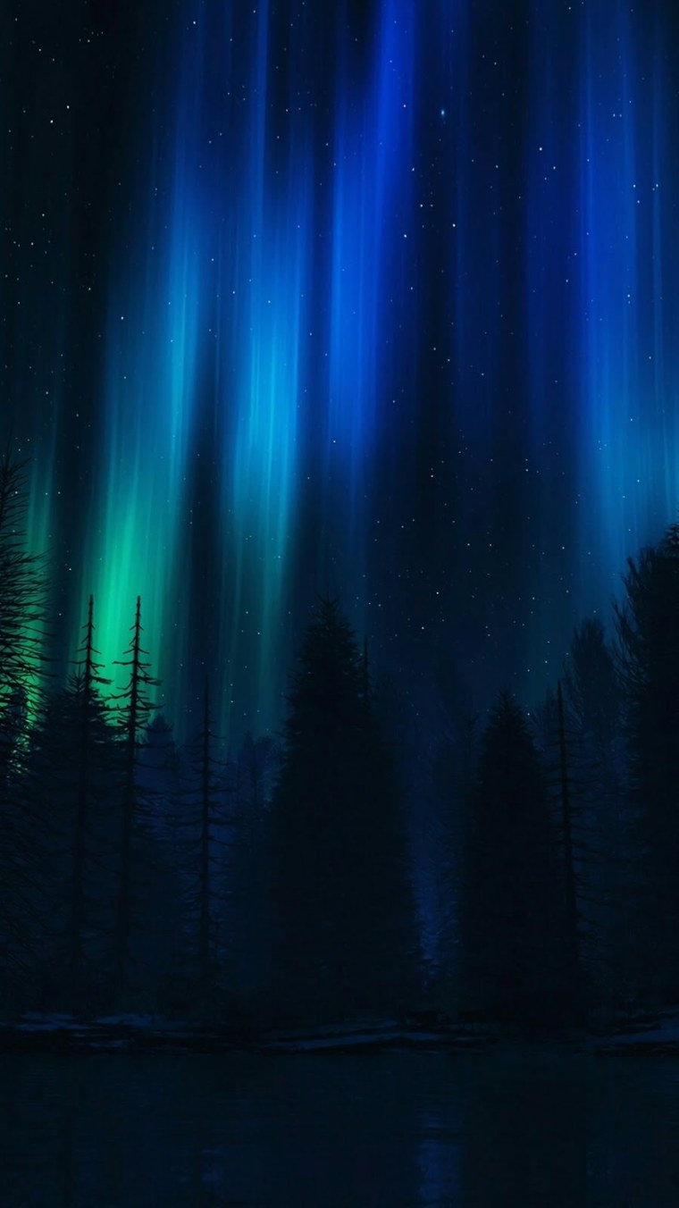 Синий ночной цветок