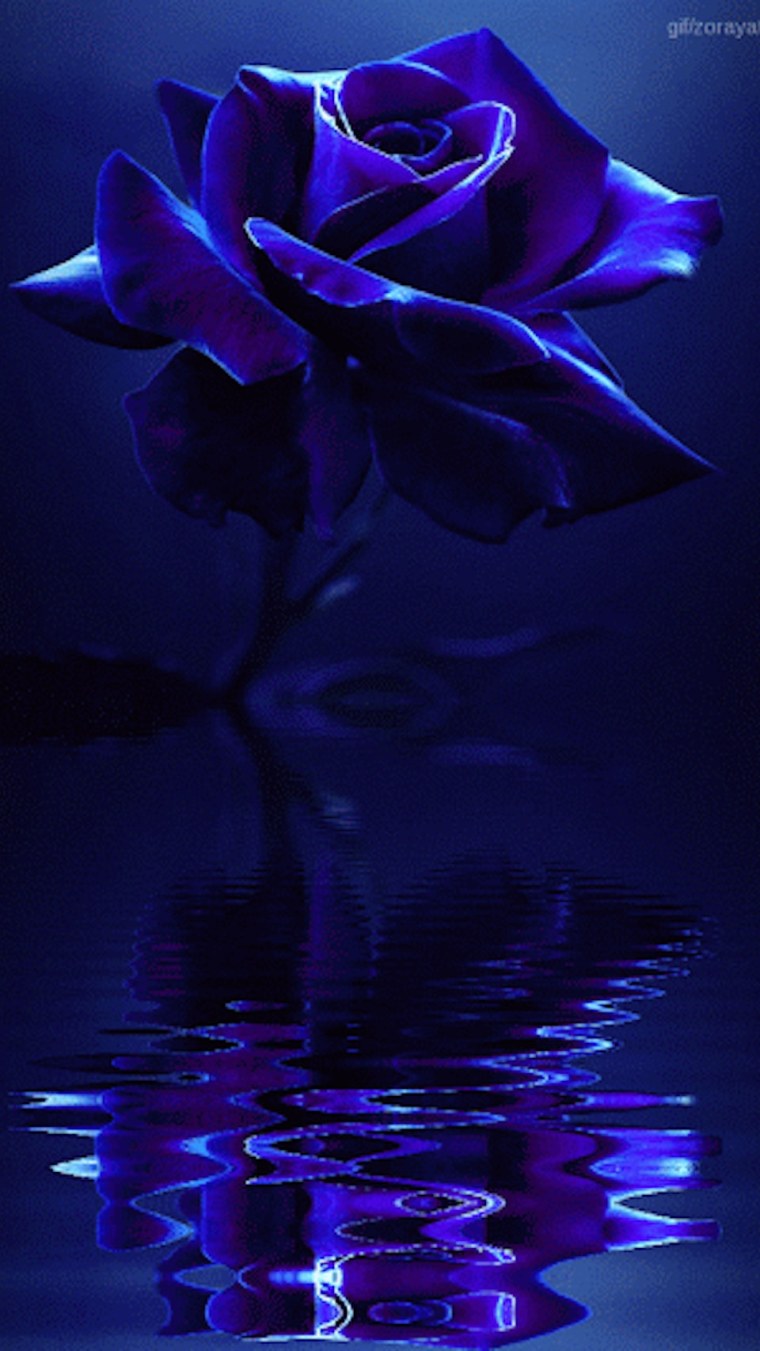 Ночное небо