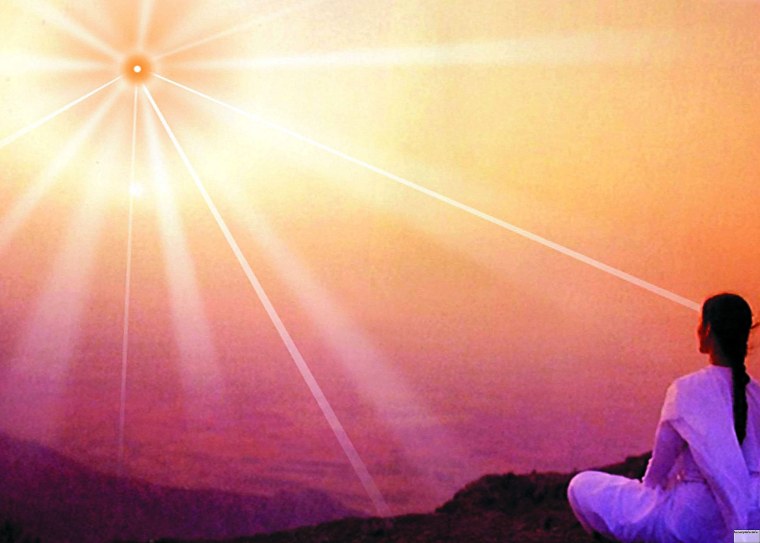 Качества человека в виде цветка