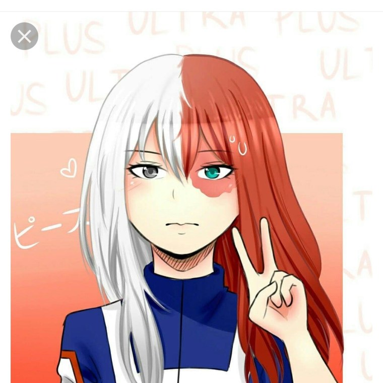 Шото Тодороки арт