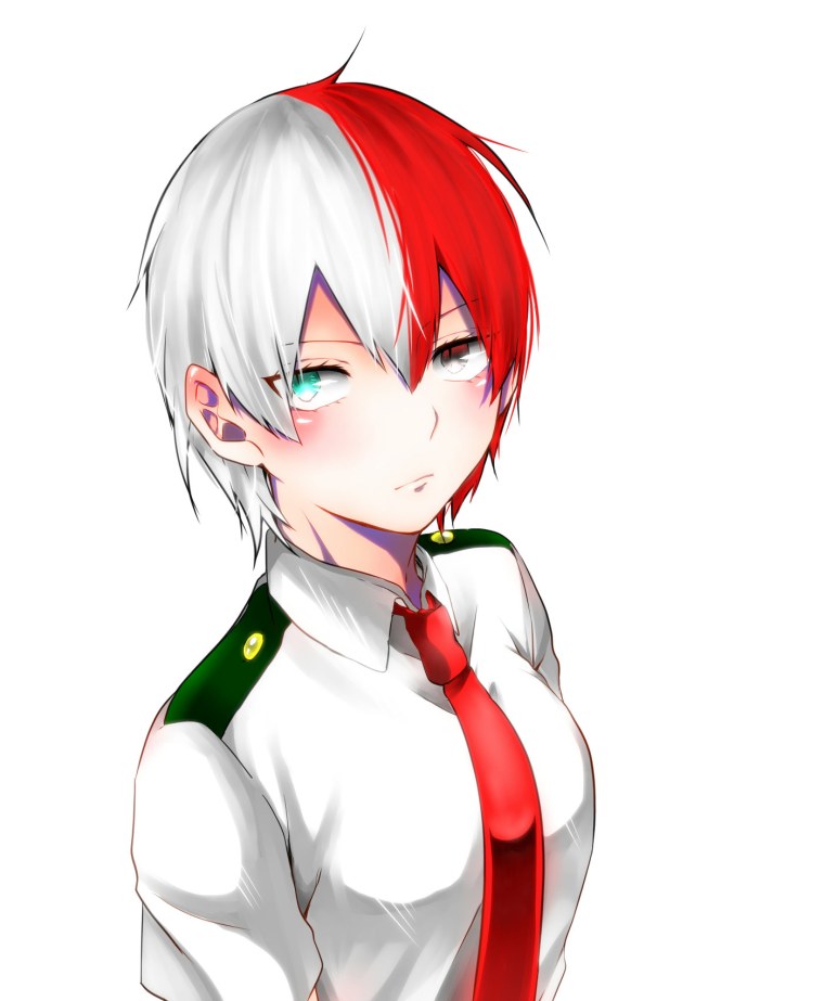 Todoroki Shouto fem