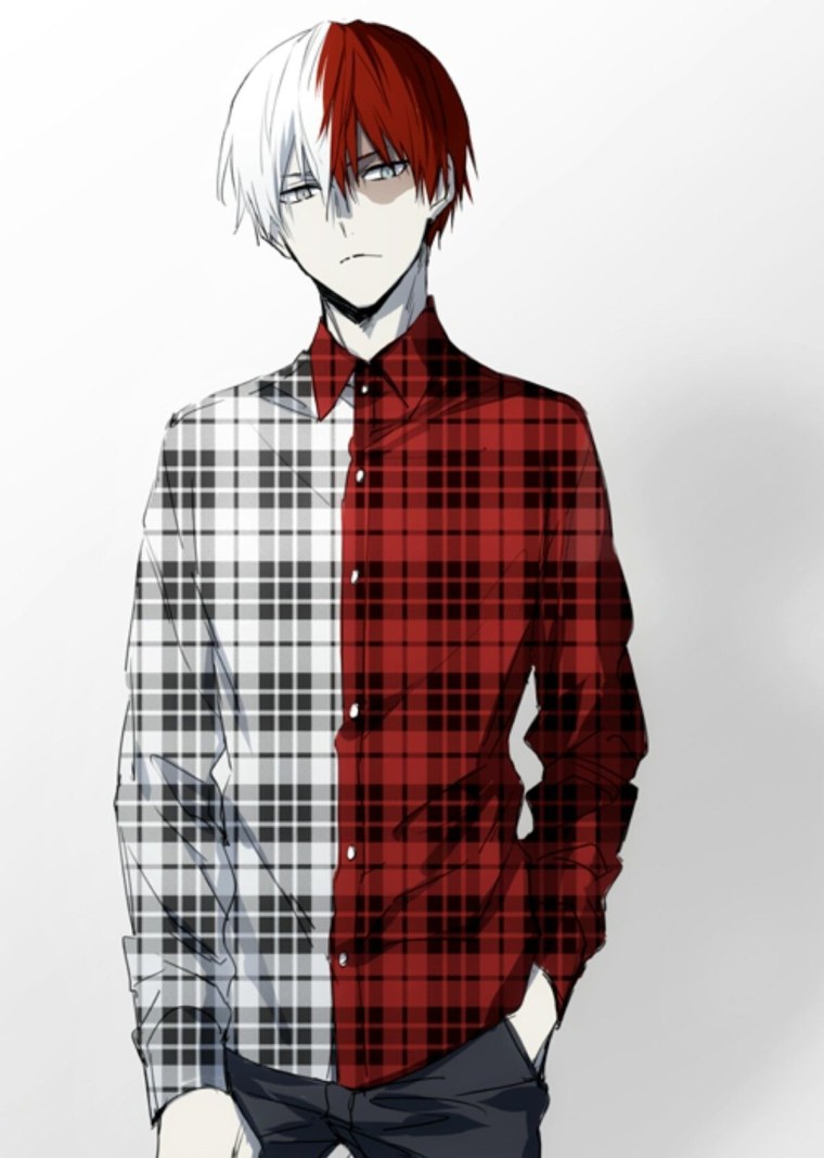 Тодороки и МОМО