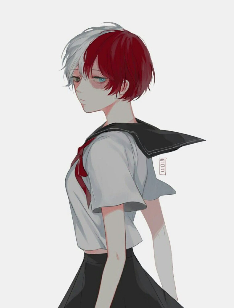 Fem Тодороки шото