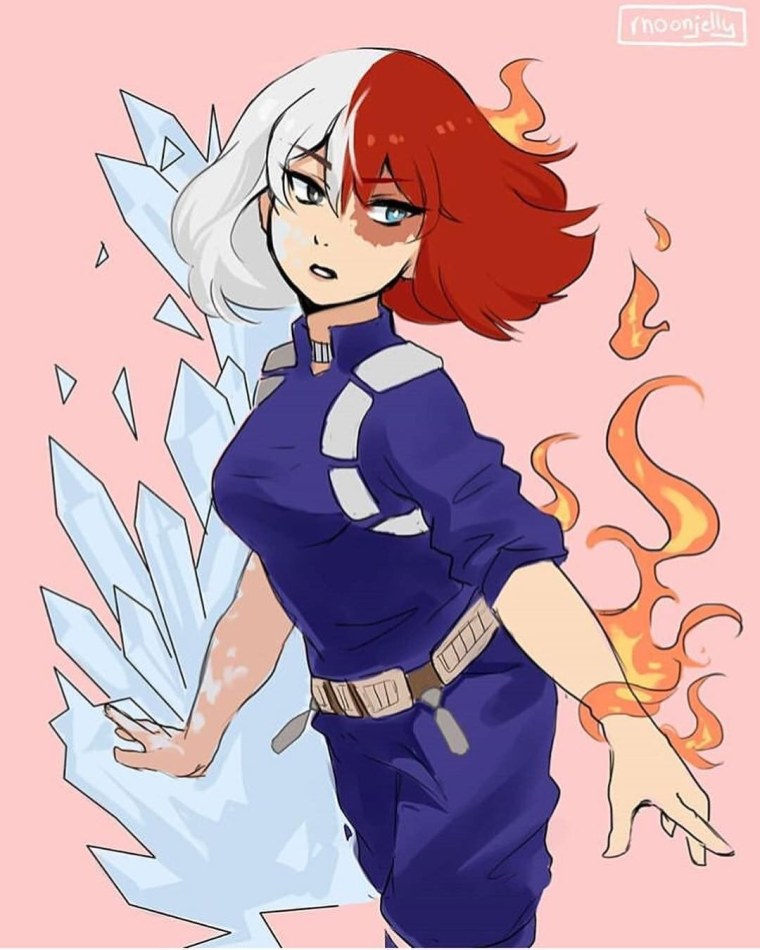 Шота Тодороки арт