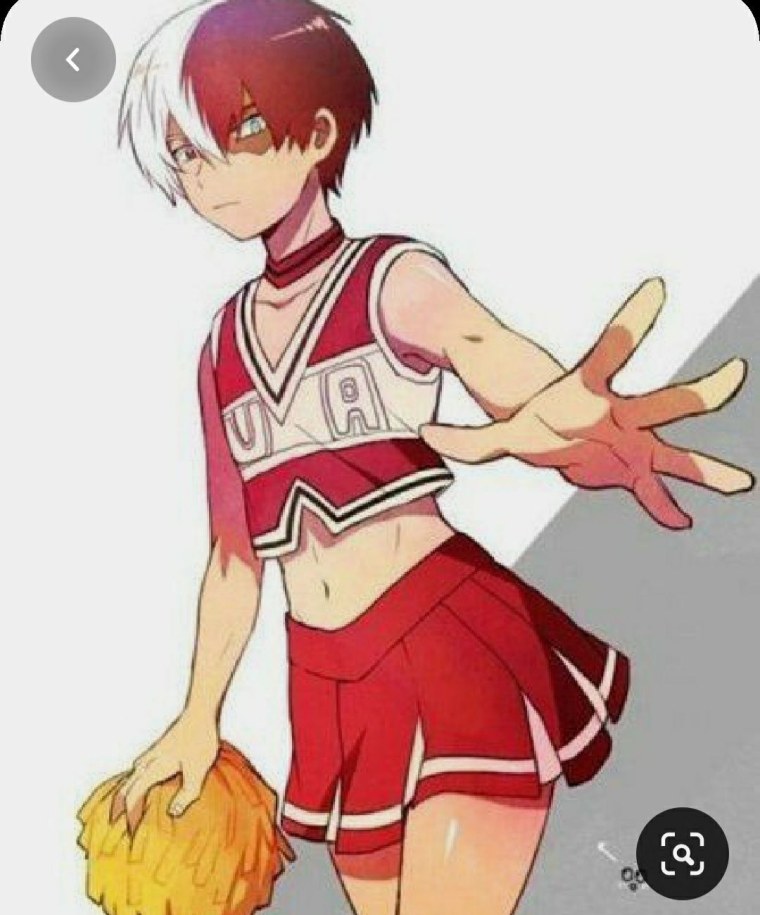 Тодороки шото и МОМО