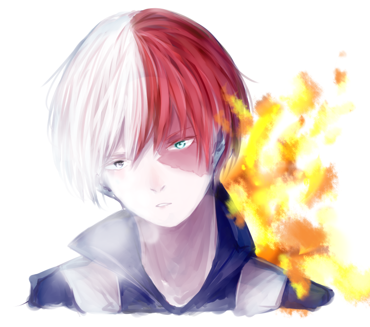 Шото Тодороки девушка