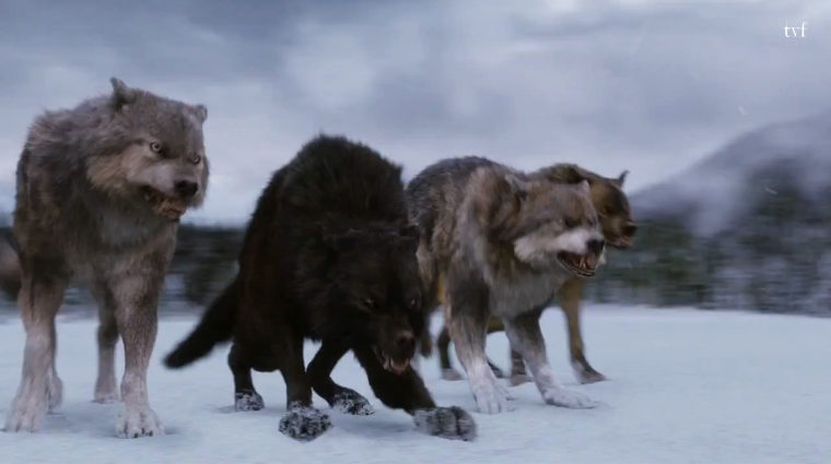 Сумерки Сэм волк