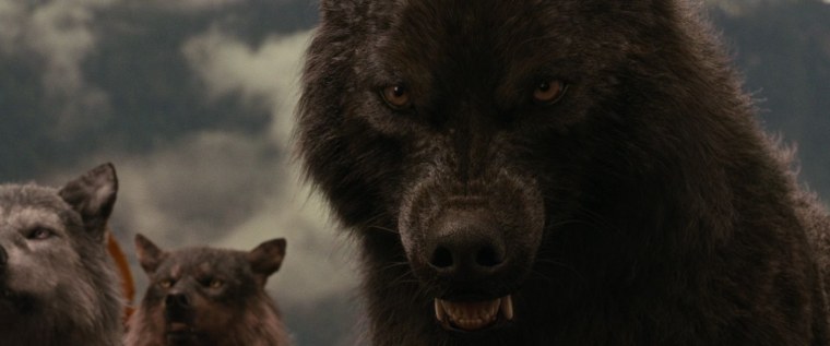 Тейлор Лотнер Сумерки волк