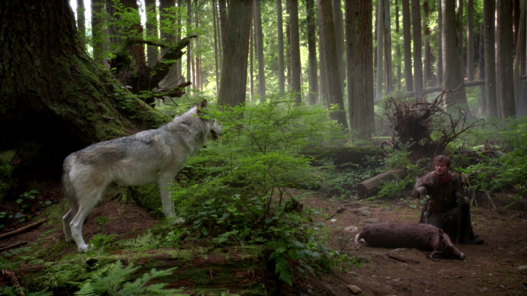 Волк черный злой