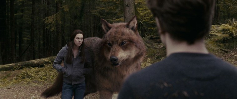 Сумерки оборотни и вампиры