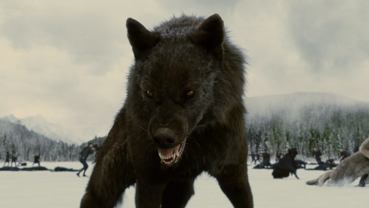 ЗМ класс Predator