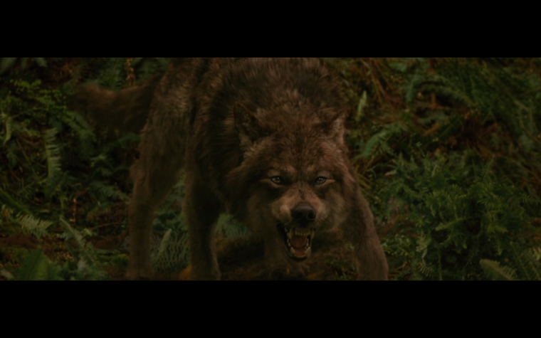 Жеводанский зверь Волчонок