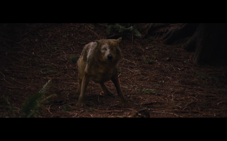 Волк оборотень Ван Хельсинг