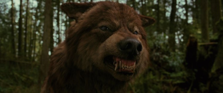 Сэм волк из сумерек