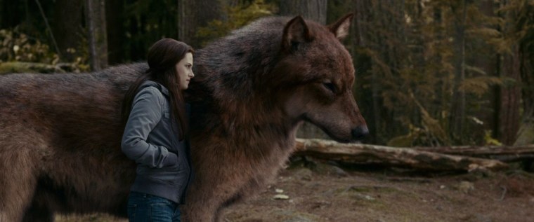 Волк из сумерков Сэм