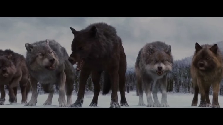 Сумерки Джейкоб сага рассвет 2