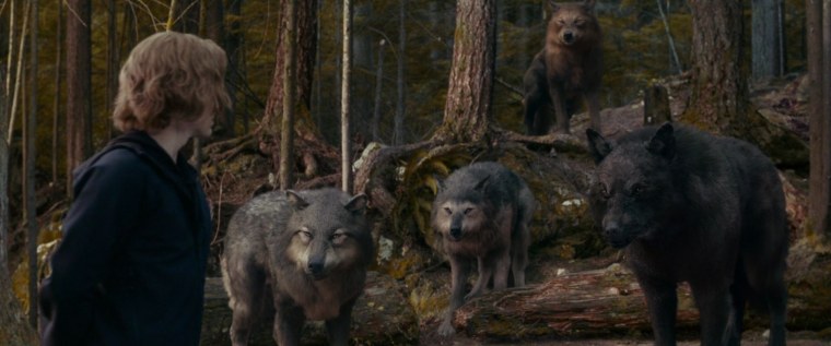 Сумерки Сэм волк