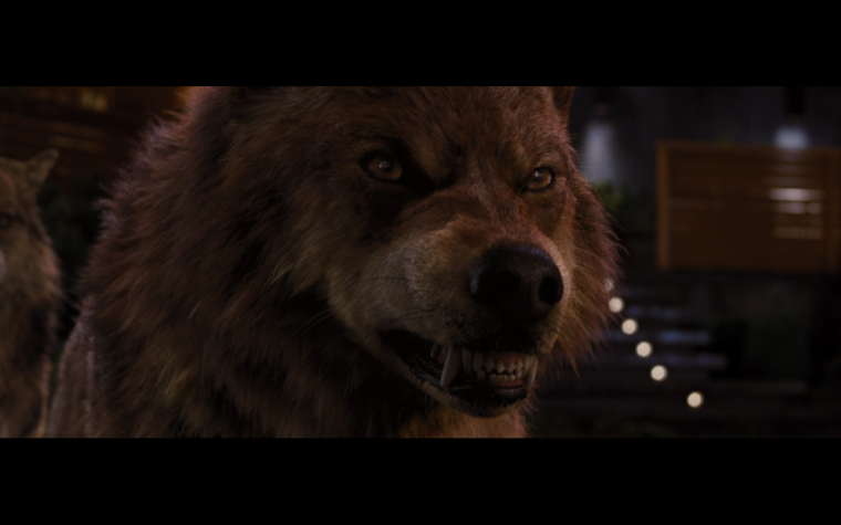 Волк Джейкоб и Сэм