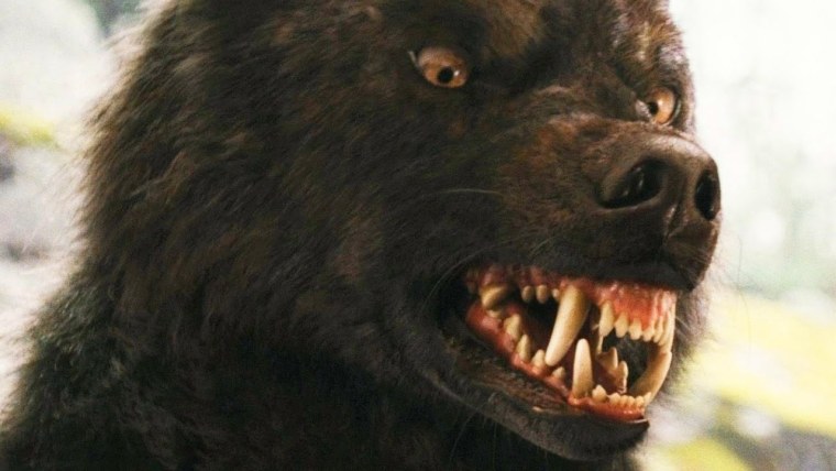 Волк сериал Сумерки