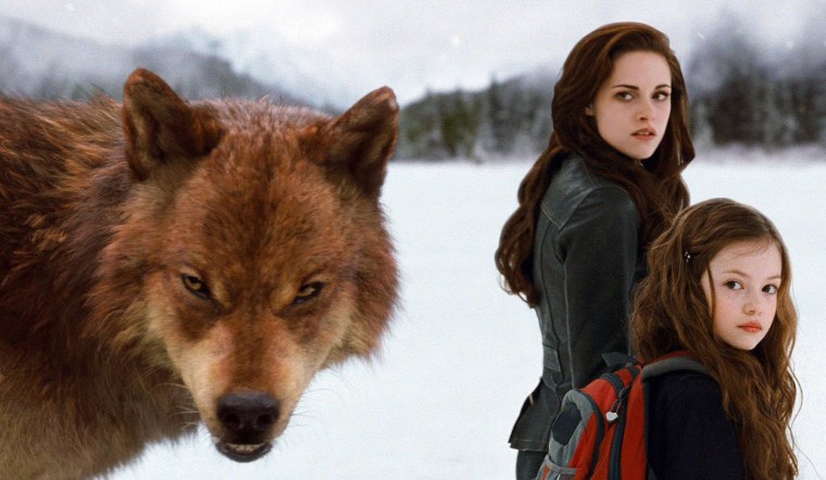 Сумерки Джейкоб и Белла поцелуй