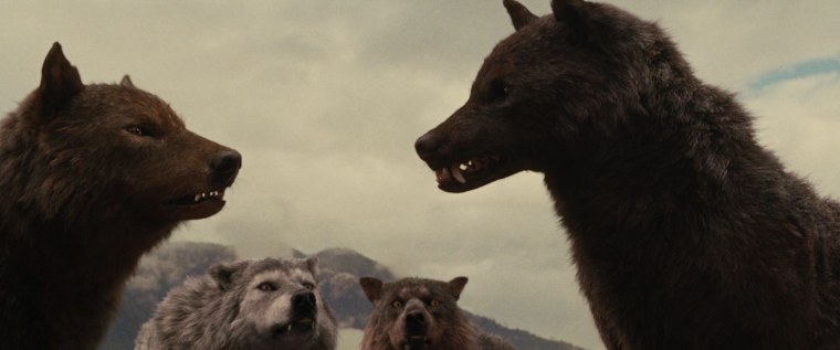 Сумерки Джаред волк