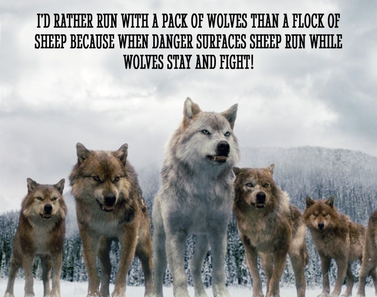 Книга джунглей 2016 Ракша