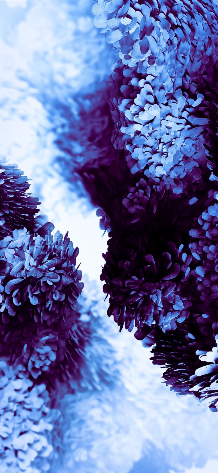 Логотип самсунг 4к