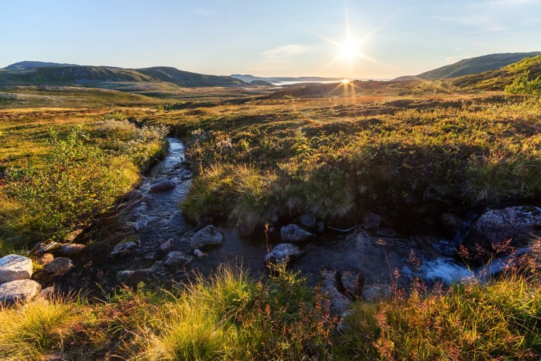 Тундра Териберка Мурманская