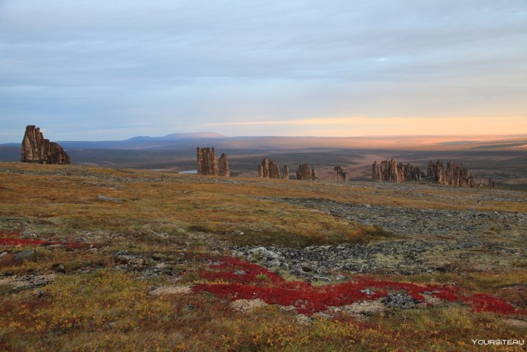 Тундра Тикси