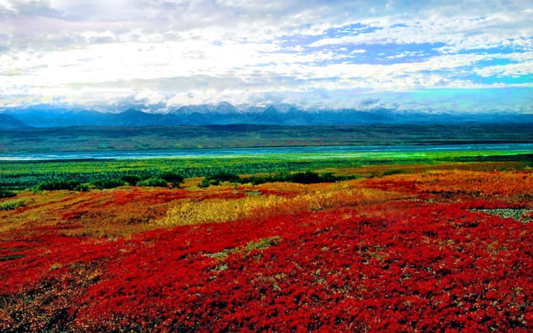 Национальный парк Денали