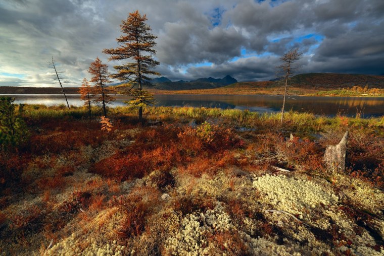 Магадан лесотундра природа