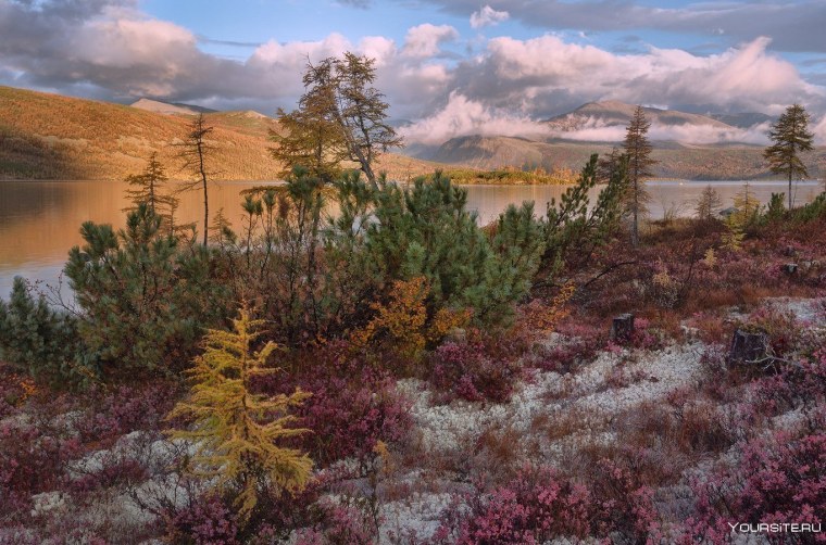 Колымская тундра