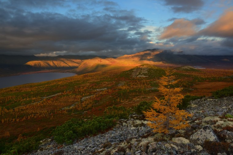 Тундра река Колыма