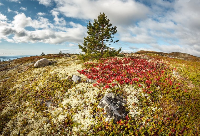 Кольский полуостров осенью