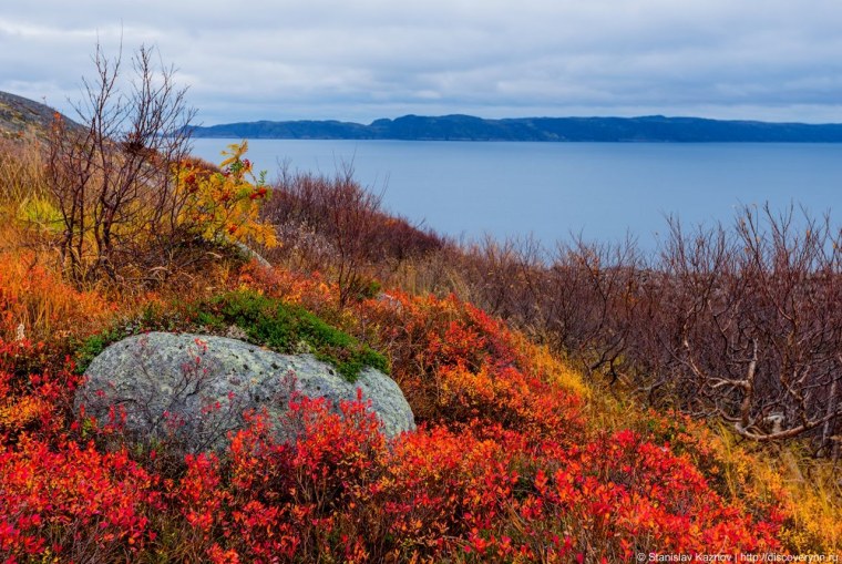 Заполярье Кольский полуостров