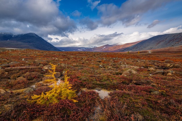 Полярный Урал ЯНАО