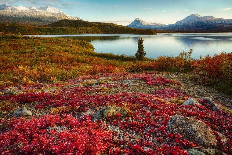 Субарктическая тундра ландшафт