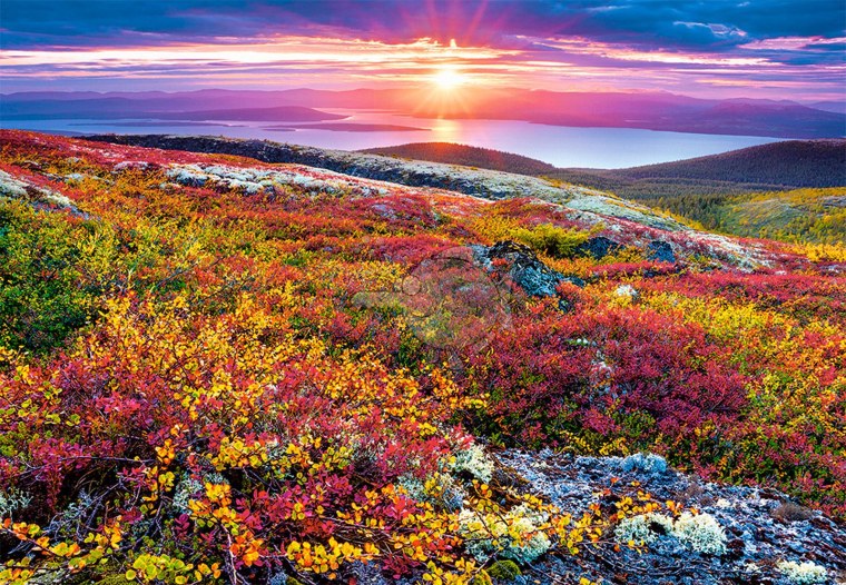 Тундра Кольского полуострова