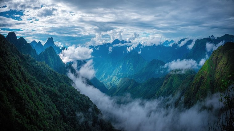 Швейцария Альпы лес