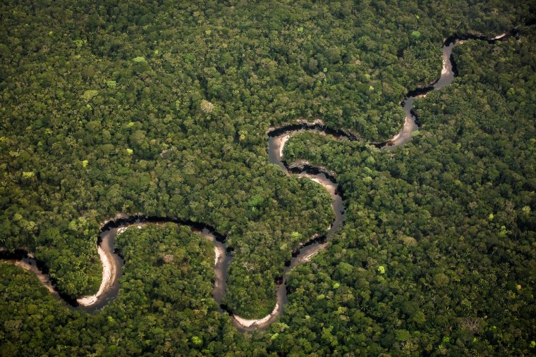 Река Амазонка в Бразилии