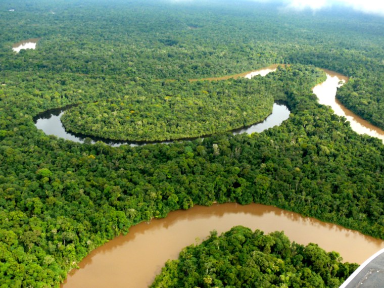 Индейцы сельвы амазонки