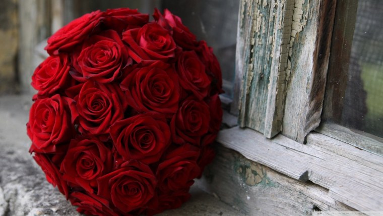 Чёрные розы на белом снегу