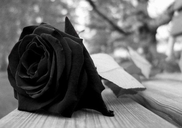 Цветы на аву