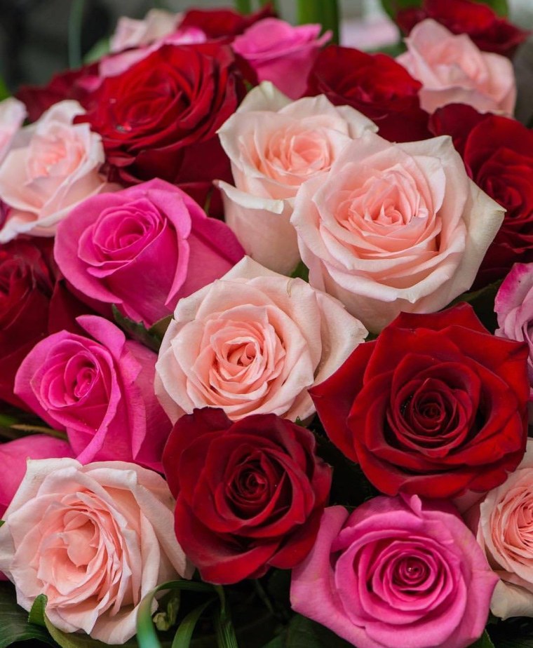 Эстетика парень с розой