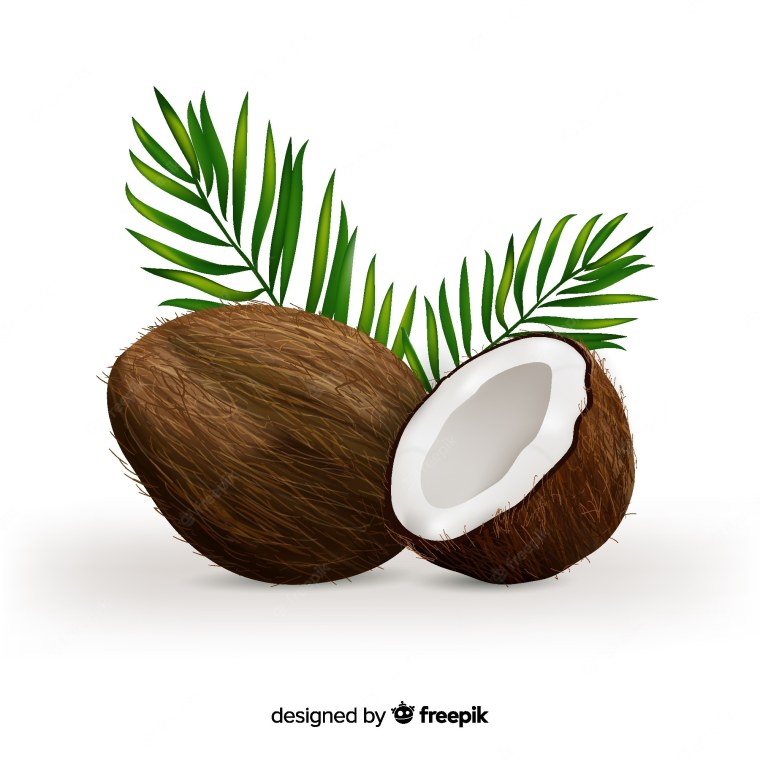 Нарисовать Кокос