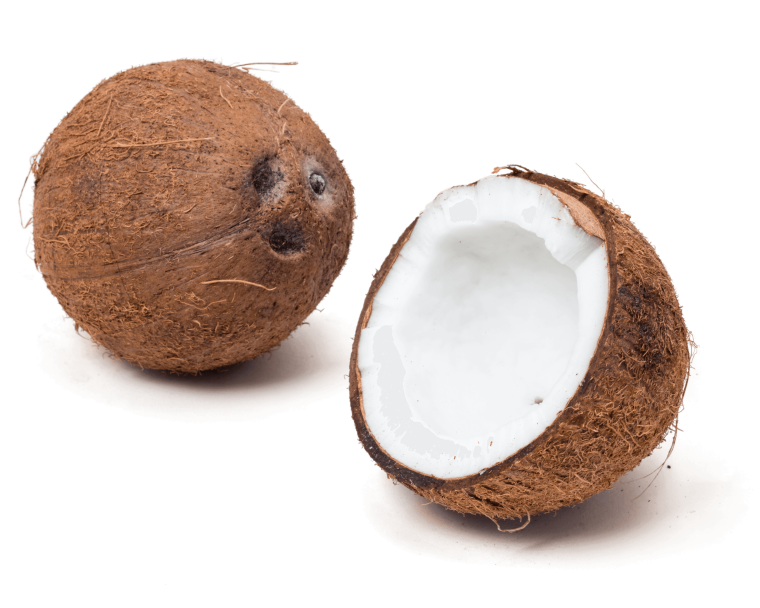 Половина кокоса