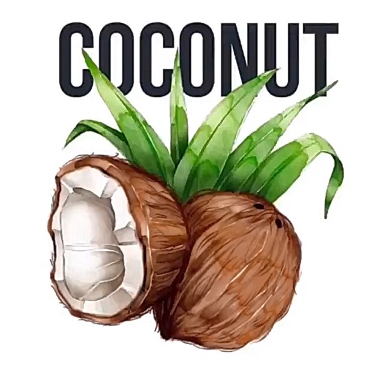 Кокос рисунок