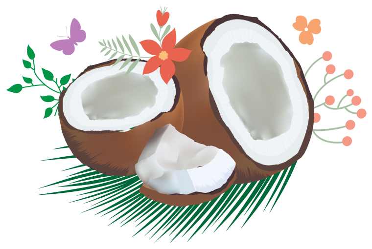 Кокос на прозрачном фоне